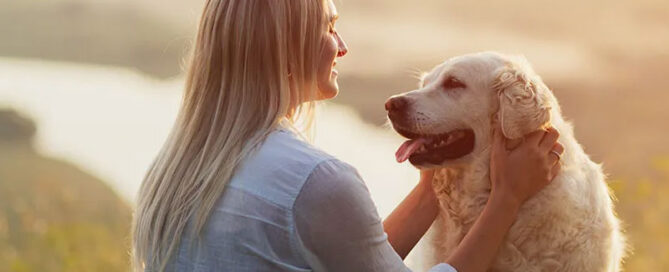 Mascotas Cuando Mueren